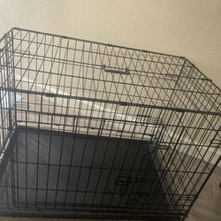 Dog Crate 