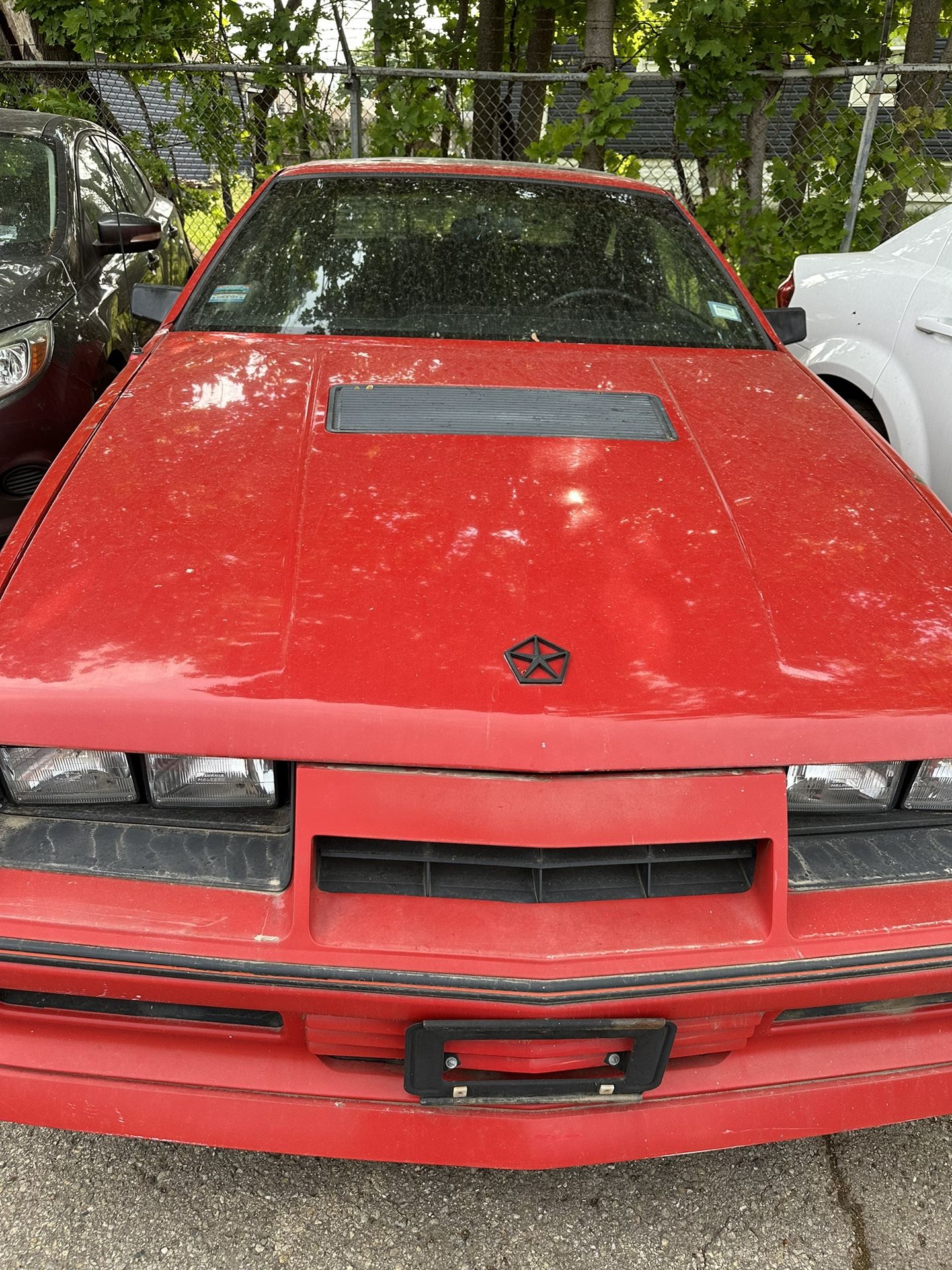 1984 Dodge Daytona