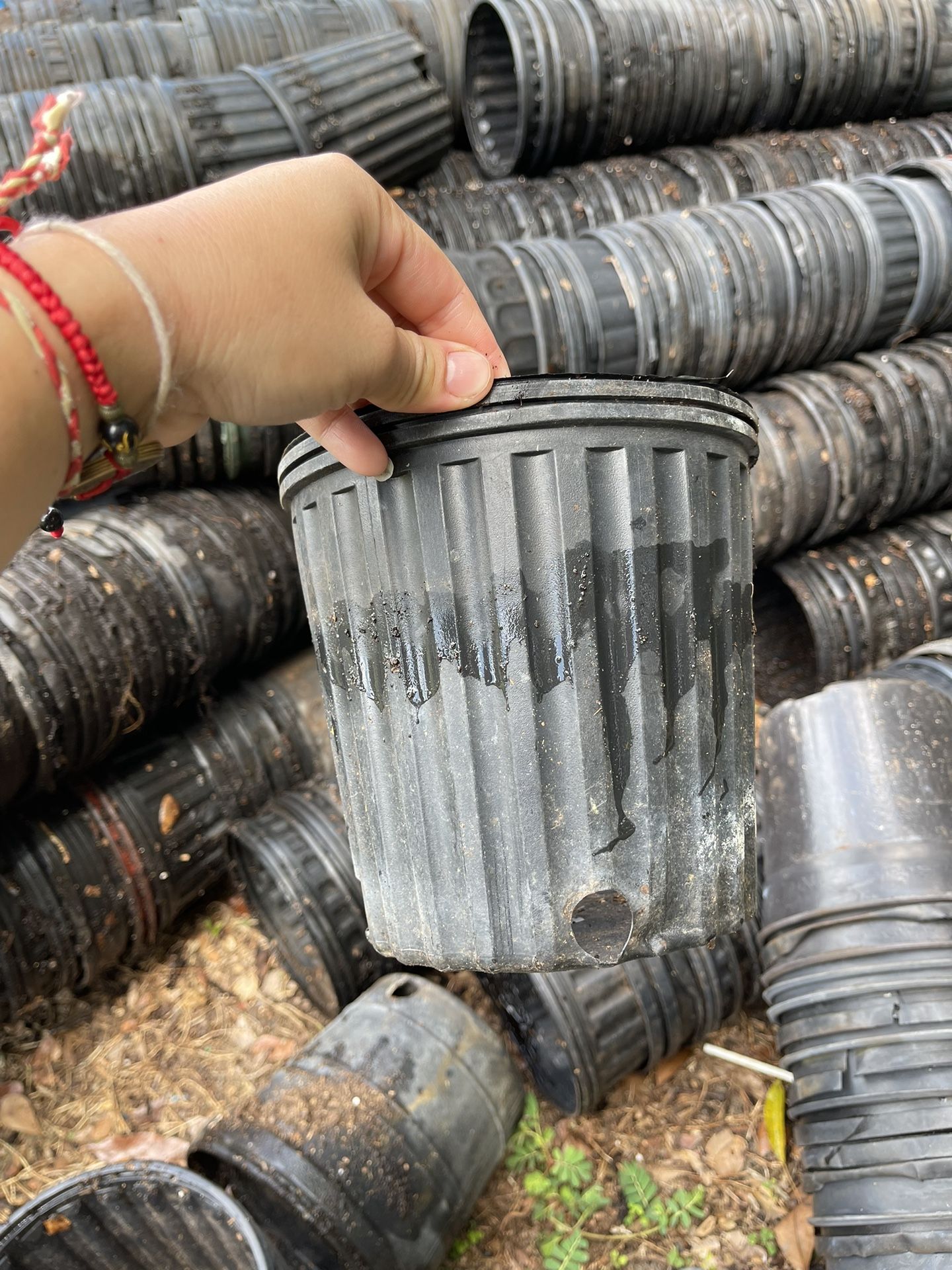 1gallon Plant Pots 50 For $10 (USED)
