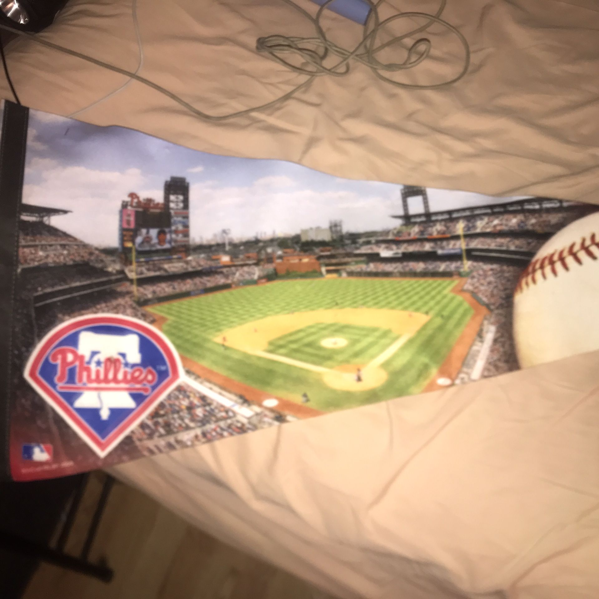 2009 Phillies Banner
