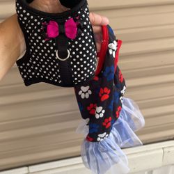 Dog Carrier With Female Dog Clothes 