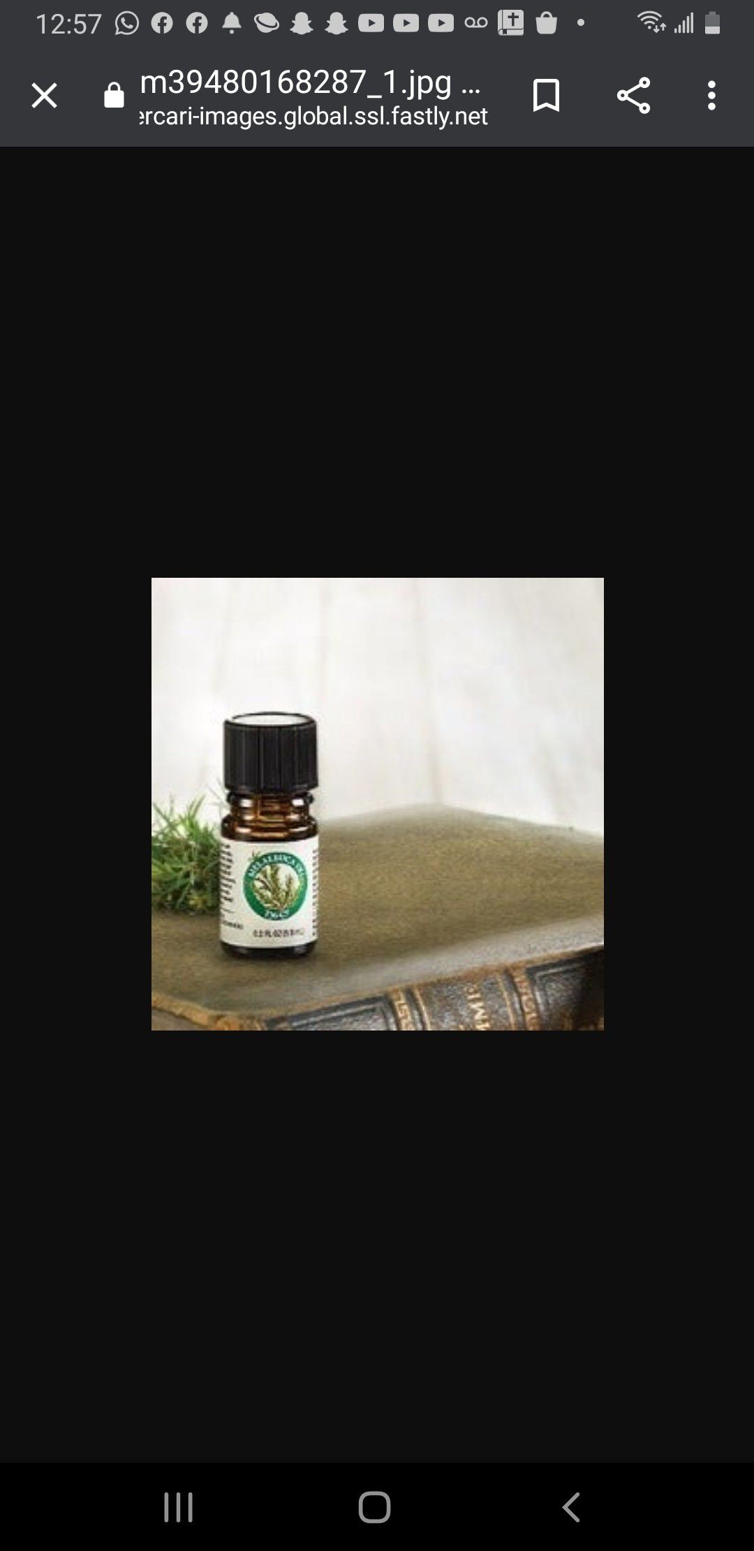 Melaleuca T36 essential oil