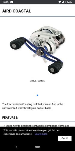 Buying! Baitcaster Daiwa aird Coastal 100