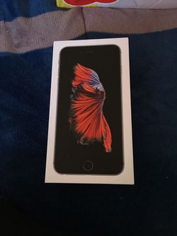 iPhone 6s Plus box