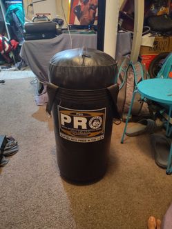 40 lbs punching bag
