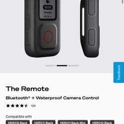 GoPro “The Remote”