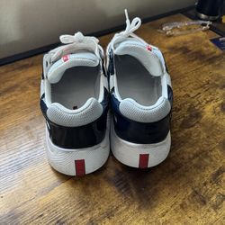 Navy blue  Prada cups