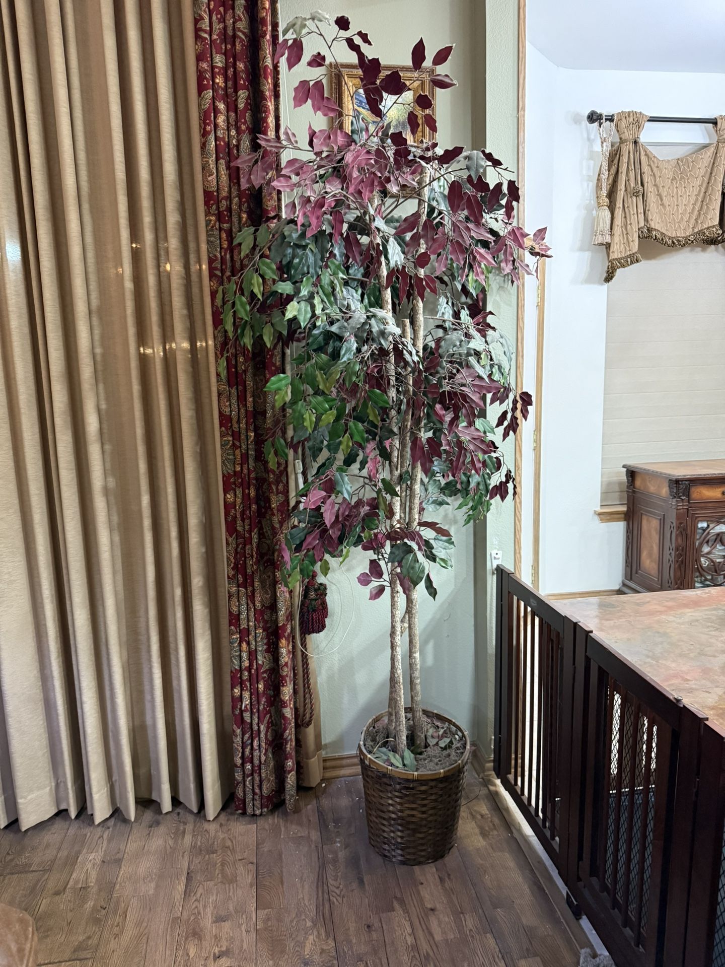 Tall 7’ silk tree