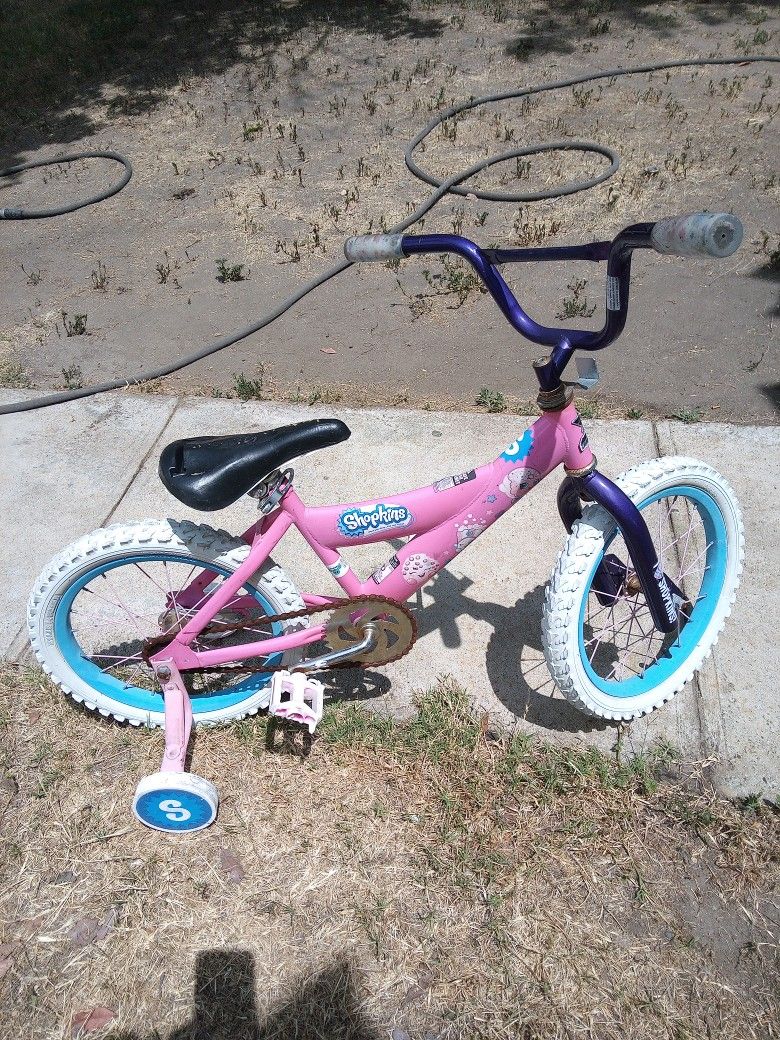 !! Girl's Training Bicycle Size 16 in Wheels