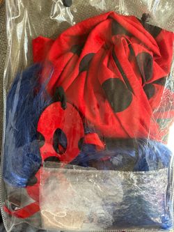 Ladybug Costume