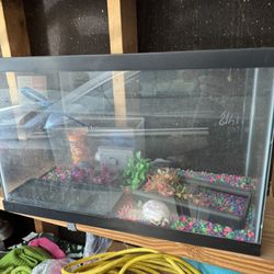 Fish Tank 