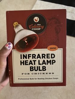 Brand New In Box Chicken Heat Lamp 