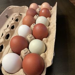 Fresh Eggs 
