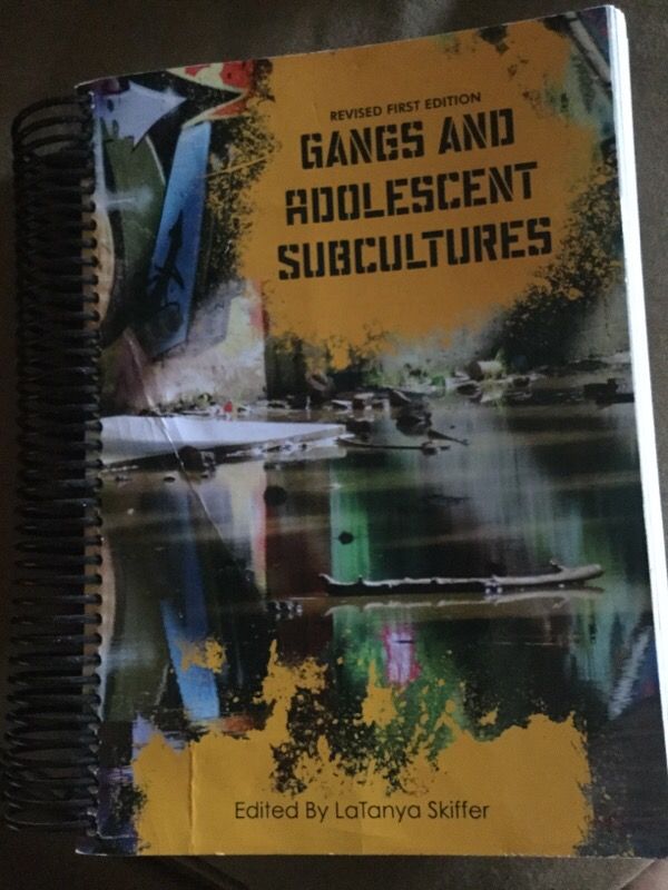 Gangs And Adolescent Subcultures