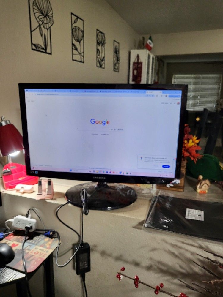 Samsung Computer Monitor 