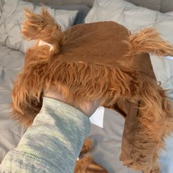 Halloween Costume 