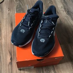 Nike Pegasus Penn State