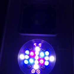 Radion Xr30 Pro Gen 3 (4)