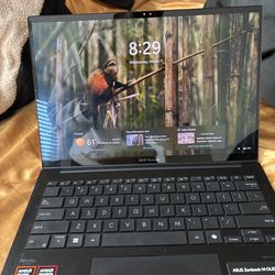 ASUS Zenbook 14 OLED, Black Laptop