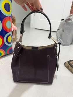 Dooney & Burke Purse