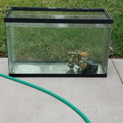 39 Gallon Tank With FREE T