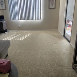 Carpet