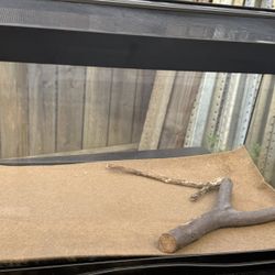 Reptile Terrarium 