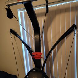 Bowflex PR1000 (Good Condition)