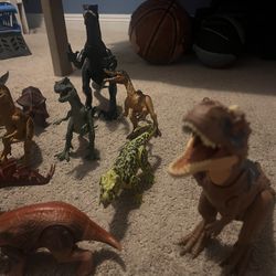 Dinosaur Bundle 