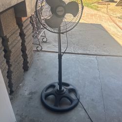 3ft Flor Fan 