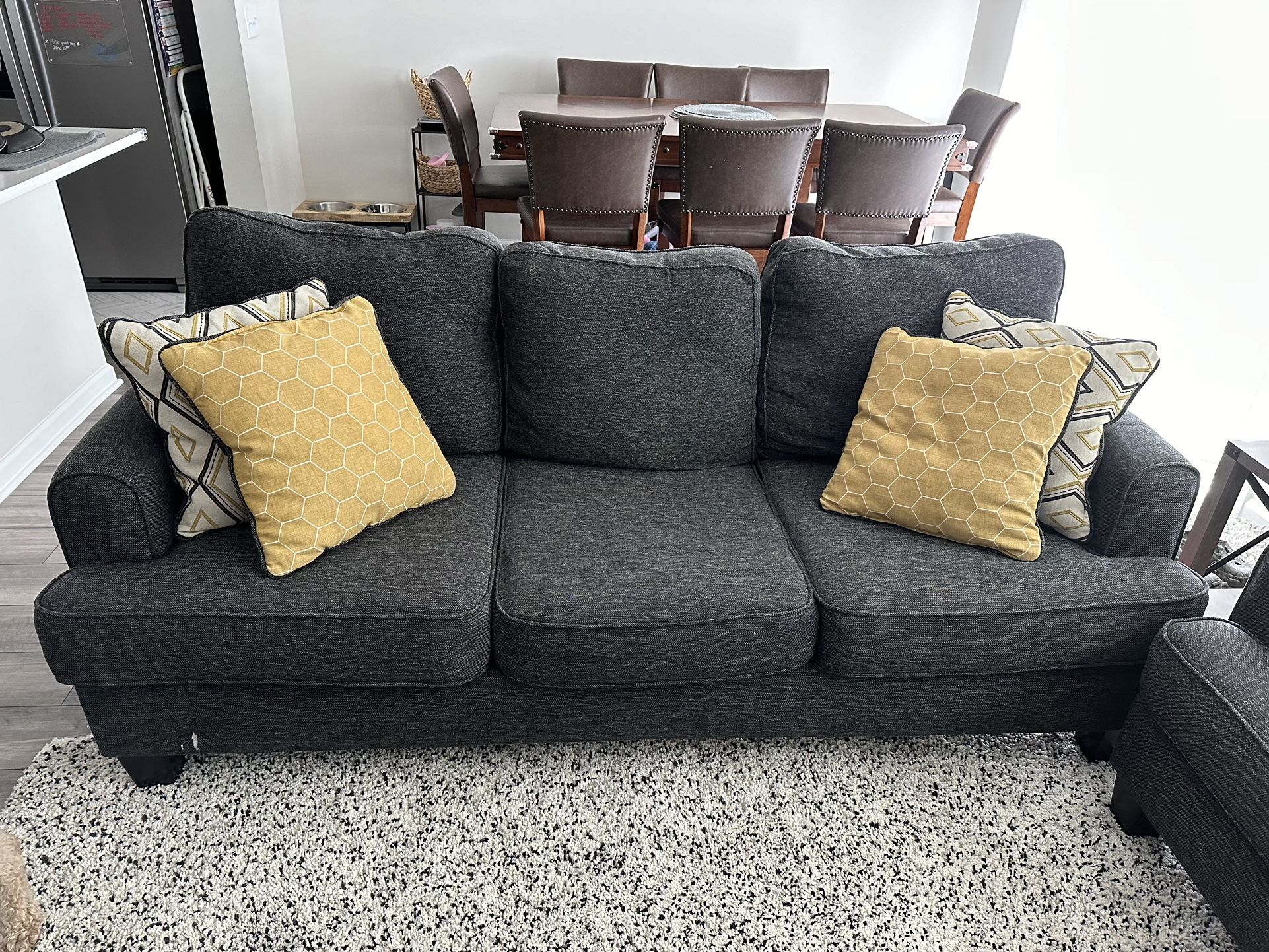 Sleeper Sofa & Love Seat (with Decorating Pillows)