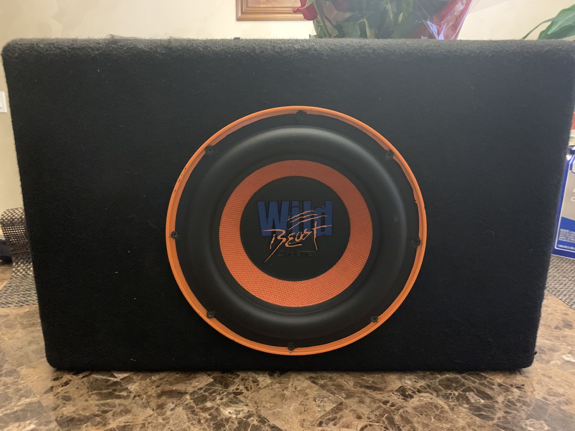 Old School Cadence Wild Beast 10” Subwoofer With Sealed Box