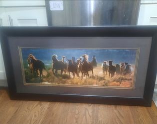 Horse picture