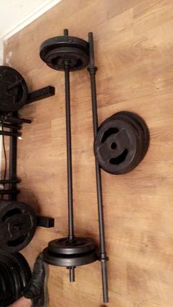 Weights and bar , gym, workout