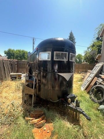 Forsale Horse