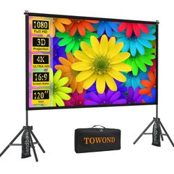 Movie projector screen