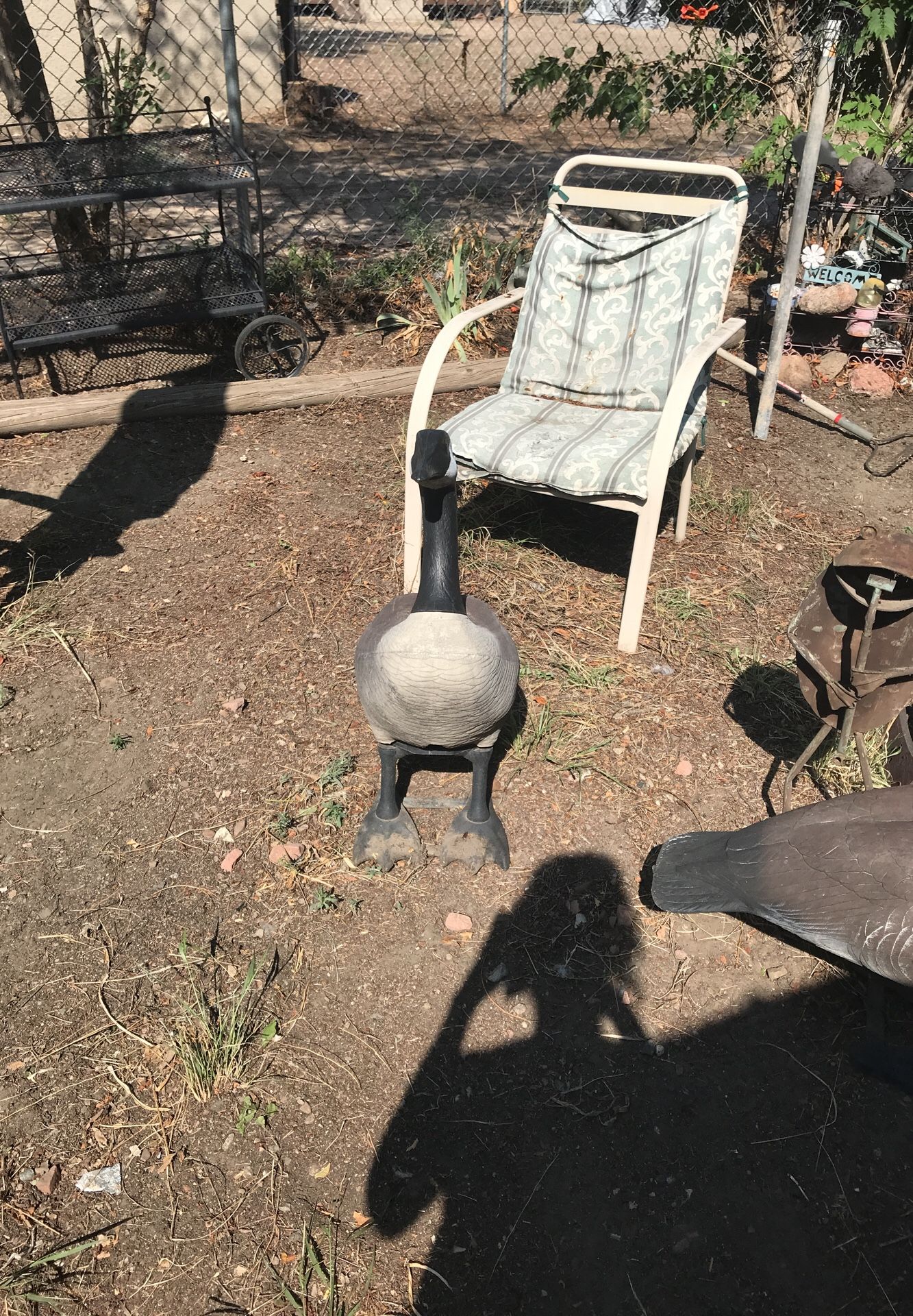 Duck decoration