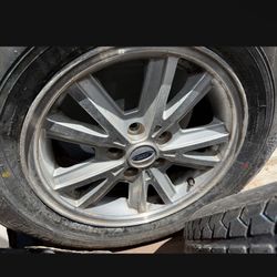 OEM Mustang Tire & Rim