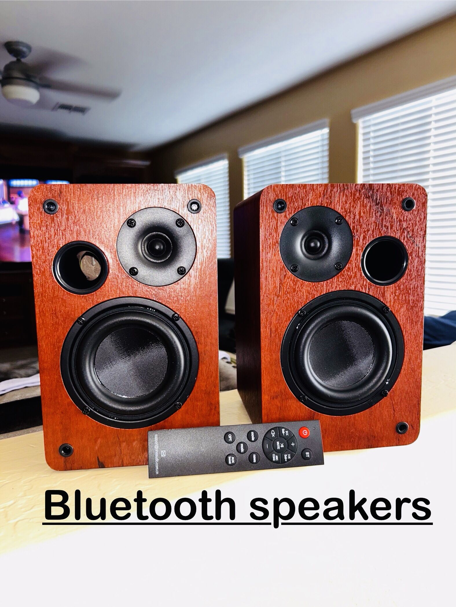 LOUD Bluetooth Bookshelf Speakers system 80 watts
