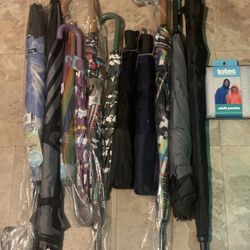 12 umbrellas 