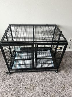 Kennels