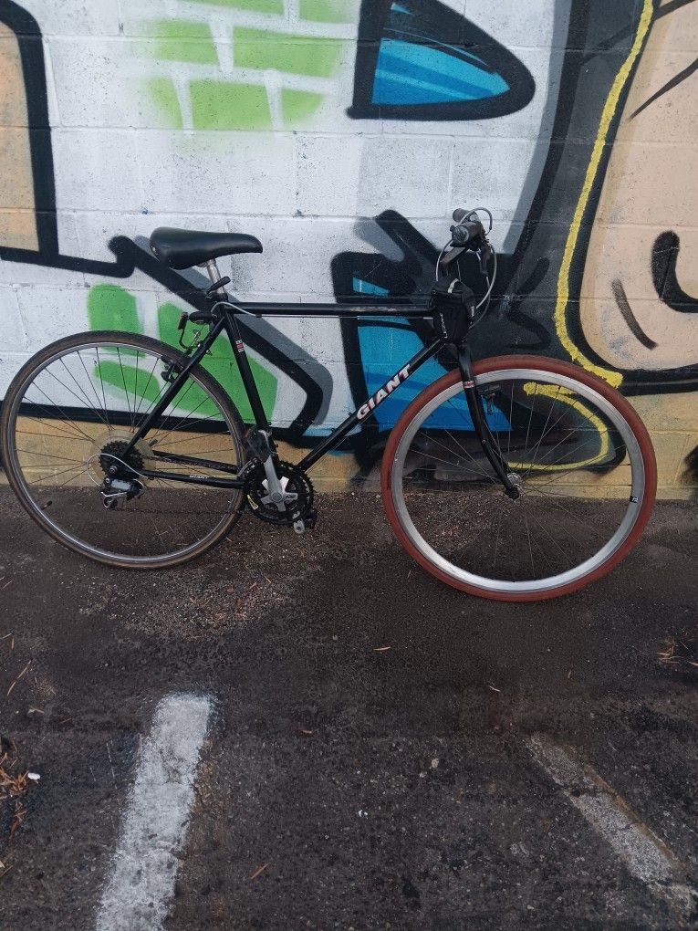 Giant (Escape Disc 2) (Large Frame)