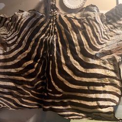 Zebra Hive