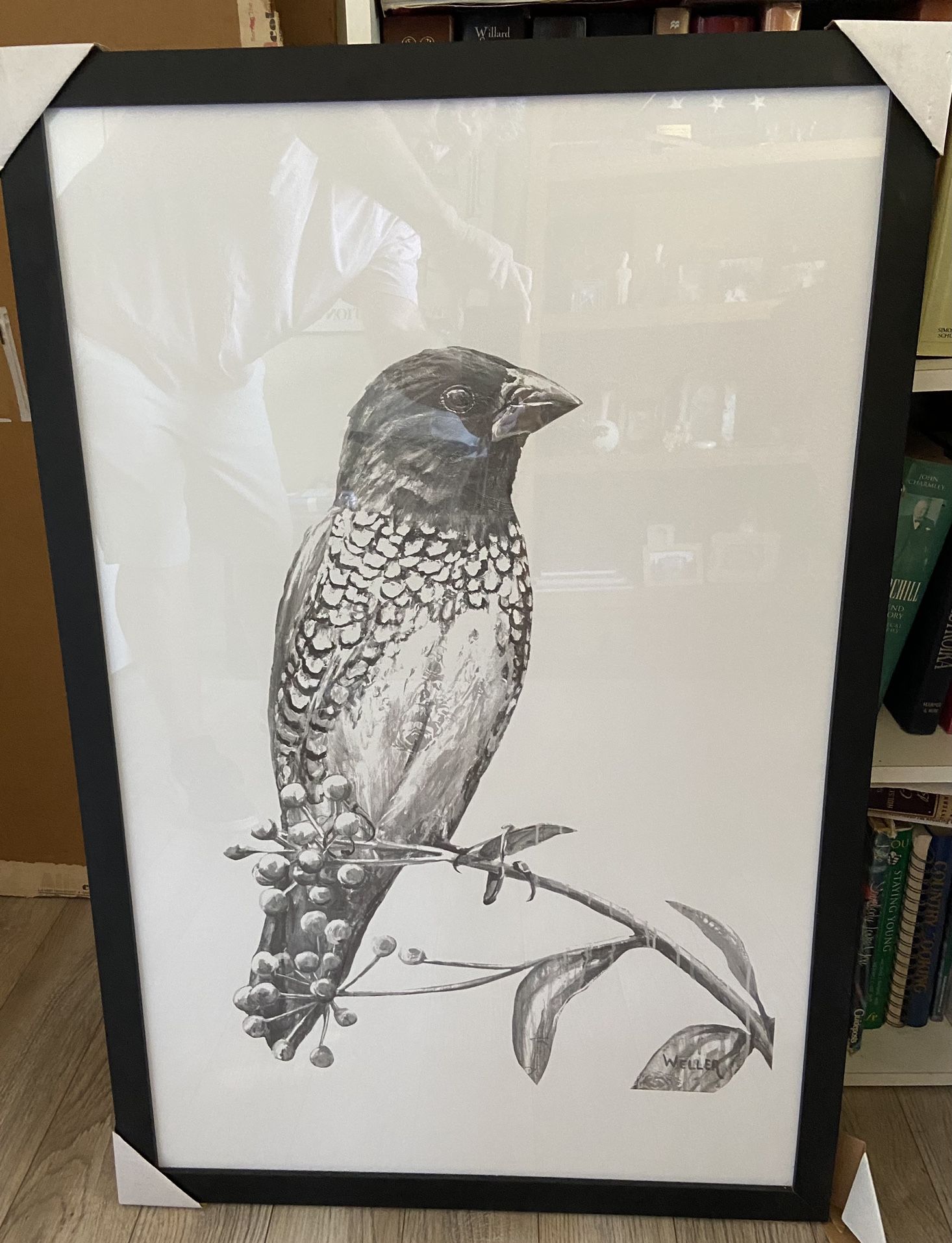 New Sketched Bird On Branch :: Quality Framing :: 24" X 36"