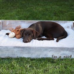 Solid Wood Dog Bed 