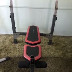 Bench Press 