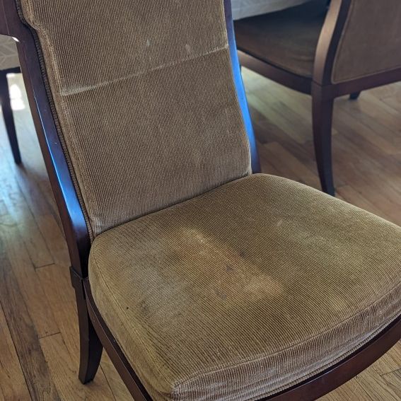 Roche Bobois Dining Chairs