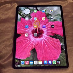 IPad Pro 12.9 Inch 5th Gen 