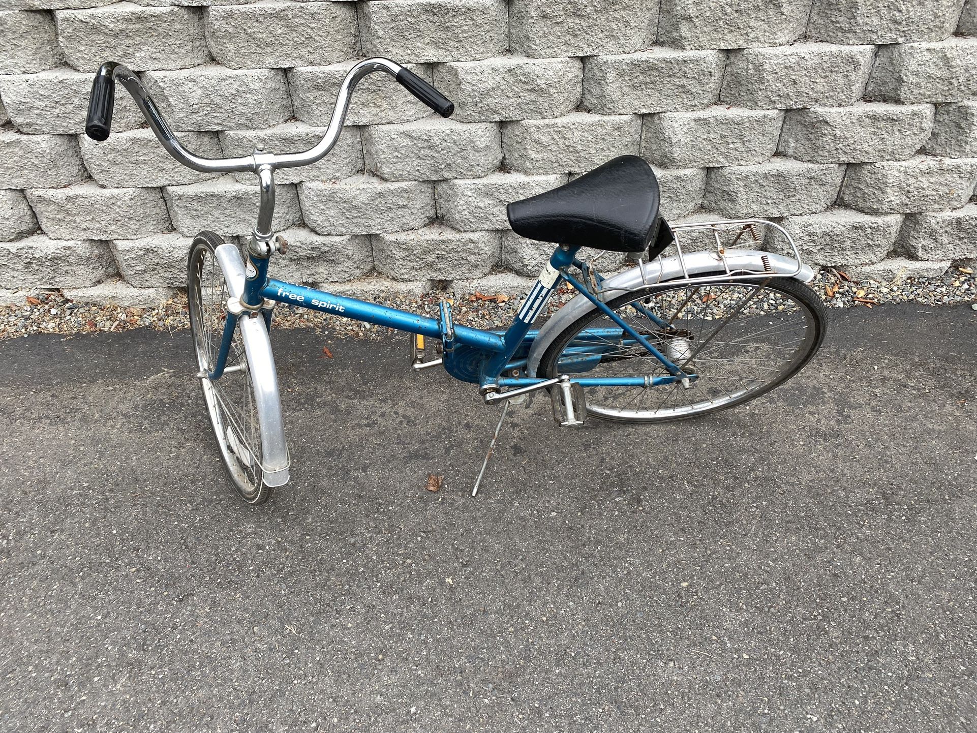 Free Spirit Folding Bike 