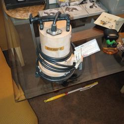 EVERBILT  2 IN 1 UTILITY PUMP 